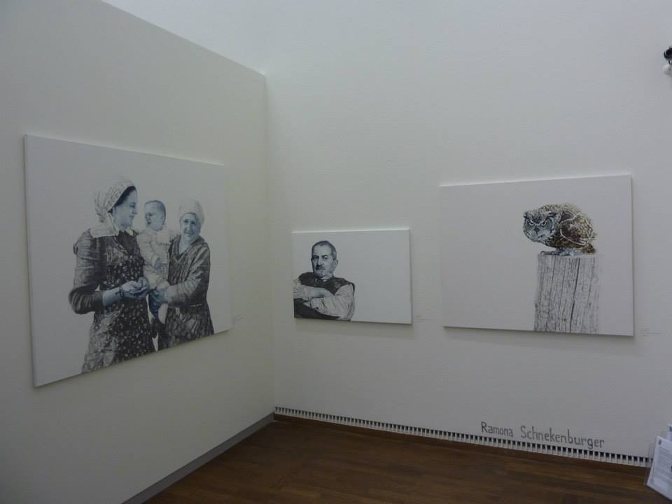 Ramona Schnekenburger, Art Austria 2014